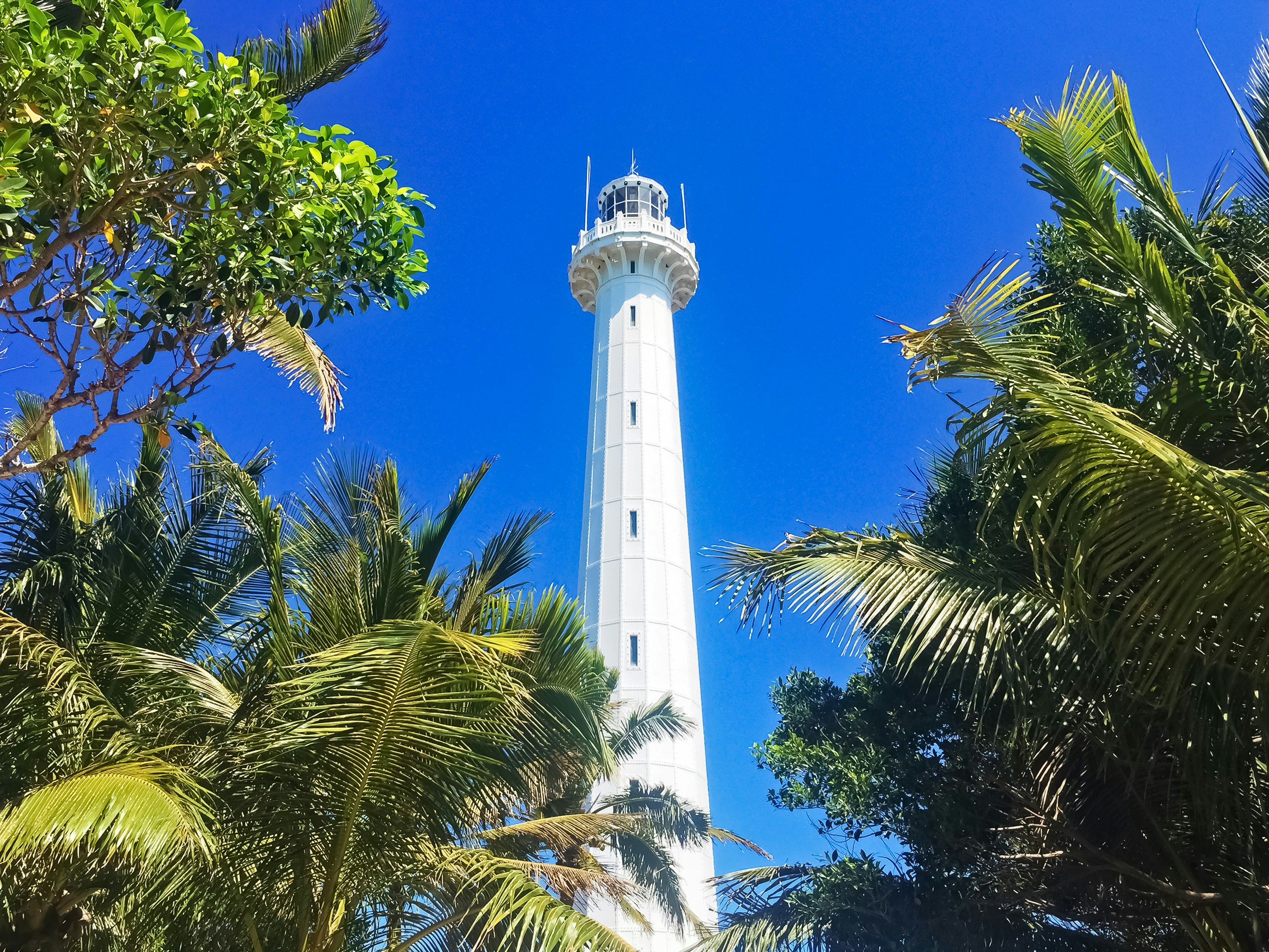 white lighthouse near green palm tree under blue sky during daytime